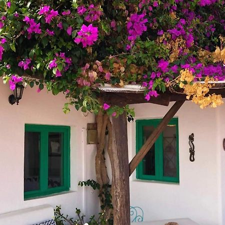 Casa Vacacional Buganvilla Mácher Exterior foto